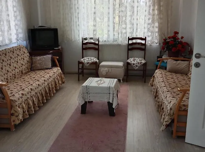 公寓式酒店 Cetin Apart