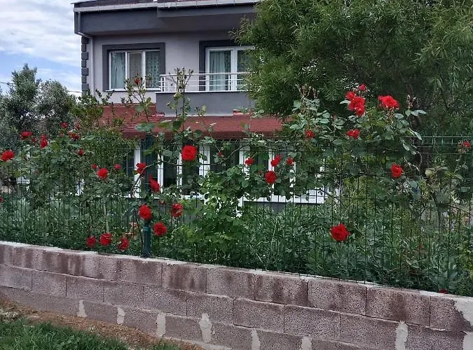 公寓式酒店 Cetin Apart